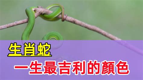 屬蛇適合的顏色|蛇年開運妙招：這些顏色讓你桃花旺盛